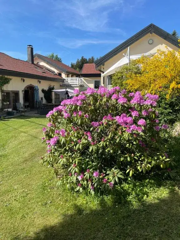 Jardin fleuri
